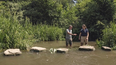 Ingenieure vom Wasserwirtschaftsamt stoßen in einem neuen Umgehungsgewässer Bamberg auf Spuren des Bibers. | Bild: BR/Längengrad Filmproduktion GmbH/Michael Kern