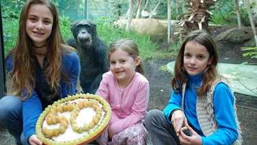 Schimpanse Toni hat Geburtstag. | Bild: BR/Jens-Uwe Heins