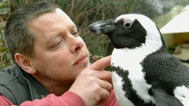 Peter Vollbracht betreut  die  Pinguine. Pinguin Sandy hat seinen Pfleger besonders ins Herz geschlossen. | Bild: BR/WDR/Melanie Grande