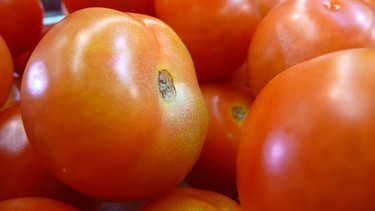 Tomaten dürfen auf der Bauernbrot-Bruschetta nicht fehlen. | Bild: BR/BR