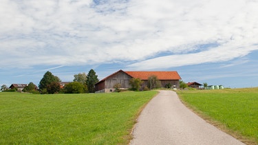 Blick auf ein weitläufiges Feld durch dessen Mitte eine kleine Straße verläuft an dessen Ende ein Bauernhof zu sehen ist.  | Bild: BR/Herbert Ebner