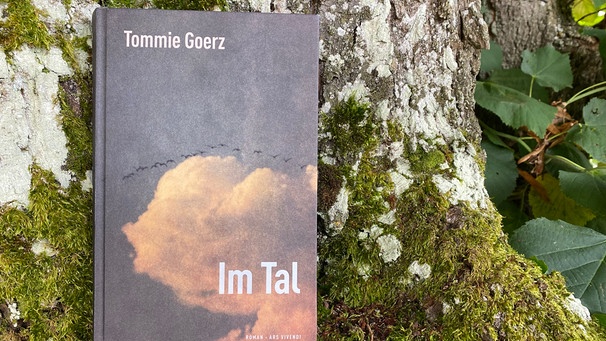 Cover von Buch "Im Tal" von Tommie Goerz | Bild: BR / Julia Hofmann