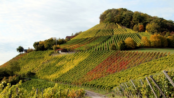 Weinberge in Handtal | Bild: Georg Hirsch