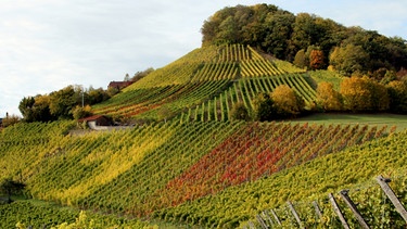 Weinberge in Handtal | Bild: Georg Hirsch