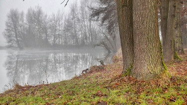 Nebel über dem Haider Teich in Neustadt-Haarbrücken am 3. Advent.
| Bild: Renate Gretzbach, Neustadt bei Coburg, 13.12.20