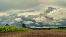 Düstere Wolken über den Feldern im Landkreis Fürth. | Bild: Dietmar Stöckl, Puschendorf, 02.08.2023