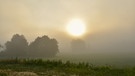 Ein Hurra für das neue Hochdruckgebiet Lotte! Noch war es kalt und herbstlich in Rauhenstein, aber die Sonne hatte den Nebel schnell besiegt. | Bild: Gisela Lindemann, Neuhaus (Pegnitz), 10.08.2023