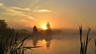 Morgenrot am Weiher, die Sonne vertreibt den Nebel und wird uns wieder tüchtig einheizen. | Bild: Gisela Lindemann, Neuhaus (Pegnitz), 23.08.2023