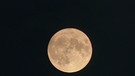 Der Mond. | Bild: Wunibald Wörle, Sankt Ottilien, 31.08.2023