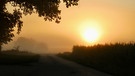 Sonnenaufgang über den Feldern von Trommetsheim. Nebel dazu, die Natur malt mit den schönsten Farben. | Bild: Ursula Knoll, Trommetsheim, 09.09.2023