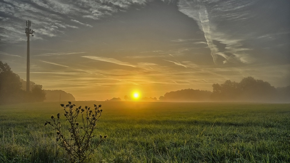 Die Morgensonne vertreibt den Nebel auf der Anhöhe bei Altenthann. Im Schwarzachtal selbst war eher weniger Nebel. | Bild: Herbert Bauer, Feucht, 26.09.2023