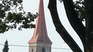 Der Kirchturm von St. Veit Ottenssos durch die alte Eiche. | Bild: Martin Linek, Schnaittach, 26.09.2023