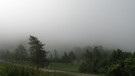 Unerwartet dichter Nebel hat mich am Morgen in der Nähe des Staffelberges erwartet, der sich aber schnell auflöste und der Sonne dann Platz machte. | Bild: Ragnhild Rummel, Erlangen, 22.05.2024