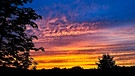 Ein faszinierender Sonnenaufgang mit traumhaften Farben. Aufgenommen morgens um 7 Uhr bei Eggolsheim im Landkreis Forchheim. | Bild: Sebastian Fischer, Forchheim, 14.06.2024
