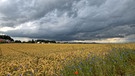 Gewitter- und Regenwolken mittags bei Burgthann. | Bild: Herbert Bauer, Feucht, 27.06.2024