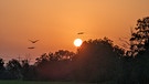 Morgenstimmung im Zenngrund bei Langenzenn. | Bild: Petra Schultheiß, Langenzenn, 18.09.2024