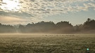 Morgenstimmung mit dem ersten Rauhreif diesen Herbst. | Bild: Petra Schultheiß, Langenzenn, 29.09.2024