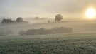 Erste Herbstliche Gassirunde?..brrrrr! | Bild: Anja Stahl, Creußen, 29.09.2024