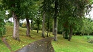 Herbst an den Stadtweihern von Auerbach. | Bild: Gisela Lindemann, Neuhaus an der Pegnitz, 02.10.2024