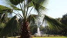 Kurpark Bad Windsheim, immer ein Besuch wert. | Bild: Frank Wiemer, Bad Windsheim, 05.10.2024