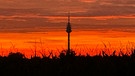 Nürnberger Fernsehturm im Morgenrot. | Bild: Michael Schickler, Oberasbach, 08.10.2024