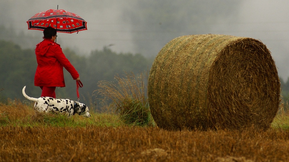 Wandern kann man bei jedem Wetter: Spaziergänger mit Vierbeiner bei einem Herbstspaziergang im Odenwald bei Eichenbühl. | Bild: Roland Schönmüller, Eichenbühl, 10.10.2024