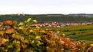 Die Weinlese ist fast zu Ende. Jetzt erscheinen die Weinberge mit ihren tollen Herbstfarben und laden zum Wandern ein, wie hier bei Escherndorf an der Mainschleife. | Bild: Klaus Hofmann, Mainstockheim, 10.10.2024