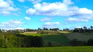 Blick auf Enchenreuth, wo immer noch herrlich gelbe Felder blühen. | Bild: Wunder Anke, Naila, 12.10.2024