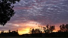 Sonnenaufgang in Ottensoos. | Bild: Andrea Engelhard, Reichenschwand, 14.10.2024