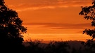 Der prachtvolle Morgenhimmel lässt auf einen schönen Tag hoffen! | Bild: Sigrid Pfänder, Sachsen b. A., 14.10.2024