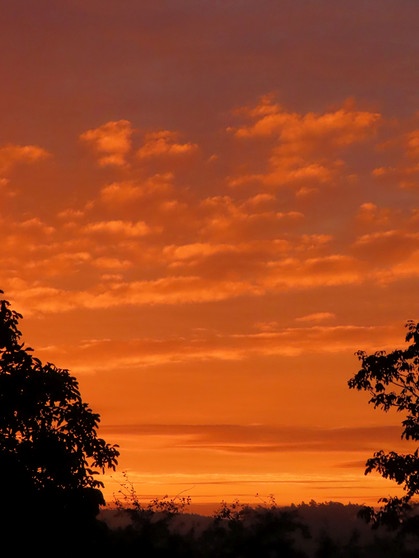 Der prachtvolle Morgenhimmel lässt auf einen schönen Tag hoffen! | Bild: Sigrid Pfänder, Sachsen b. A., 14.10.2024