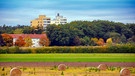 Alles auf herbstliche Farbtöne abgestimmt in Schwabach Eichwasen. | Bild: Reinhold Schaufler, Nürnberg, 15.10.2024