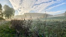 Morgenstimmung im Tal bei Bad Alexandersbad. | Bild: Axel Rauh, Bad Alexandersbad, 16.10.2024