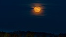 Leider kam der Supermond über der Burgruine Wolfstein bei Neumarkt erst hinter den Wolken hervor, als er nicht mehr direkt über der Burg stand. | Bild: Roland Schornbaum, Nürnberg, 17.10.2024