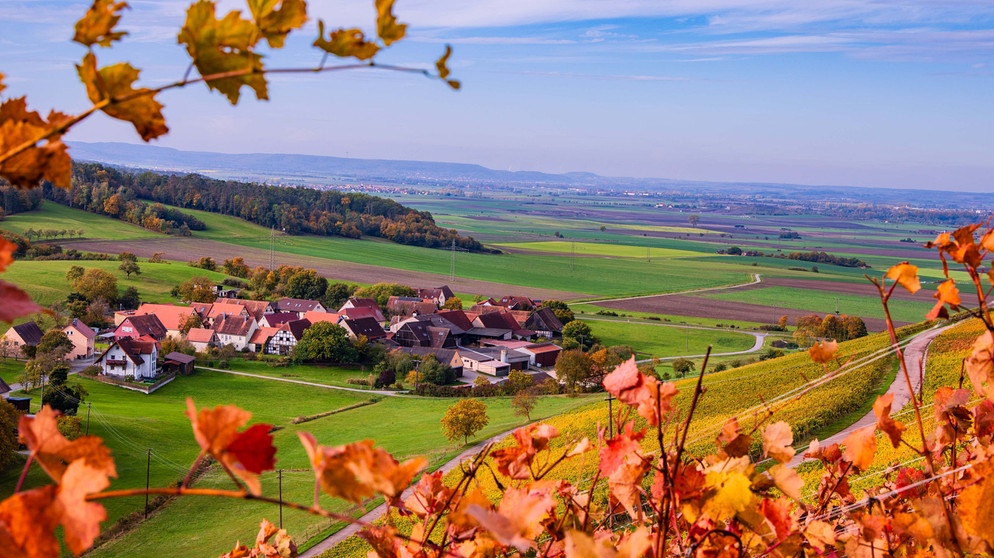 Weimersheim mit Weinbergen. | Bild: Robert Schumann, Uffenheim, 18.10.2024