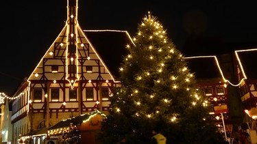 Rathaus mit Weihnachtsbaum in Forchheim - 5.12.17 | Bild: Norbert Haselbauer, Kirchehrenbach, 08.12.2017