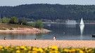 Blumen vor einem Strand am Großen Brombachsee | Bild: picture-alliance/dpa