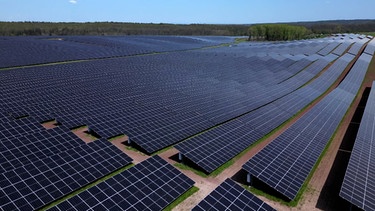 Solarpark bei Bundorf | Bild: Bayerischer Rundfunk 2024