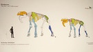 Skelettzeichnung von Urzeitelefanten im Vergleich zur Menschengröße | Bild: Bayerischer Rundfunk 2024