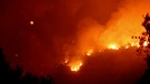 Ein Waldbrand | Bild: Bayerischer Rundfunk 2024