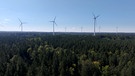 Windräder im Wald | Bild: Bayerischer Rundfunk 2024