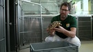 Schildkröten: Winterschlaf in der Tierarztpraxis | Bild: Bayerischer Rundfunk 2024