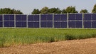 Energiewende: Agri-PV-Anlage im Staatsgut Grub | Bild: Bayerischer Rundfunk 2024