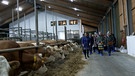 Landwirtschaft : Bauern im Weihnachtsstress | Bild: Bayerischer Rundfunk 2023
