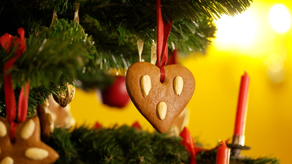 ChristbaumAusstellung Bad Wörishofen O Tannenbaum Abendschau, der