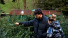 Christbaumfarm | Bild: Bayerischer Rundfunk 2024