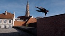 Freerunner | Bild: Bayerischer Rundfunk 2024