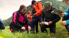 Personengruppe bestimmt Pflanzen auf einer Bergwiese | Bild: Bayerischer Rundfunk 2023