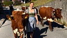 Frau mit Kühen | Bild: Bayerischer Rundfunk 2023
