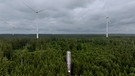 Windräder im Wald | Bild: Bayerischer Rundfunk 2025